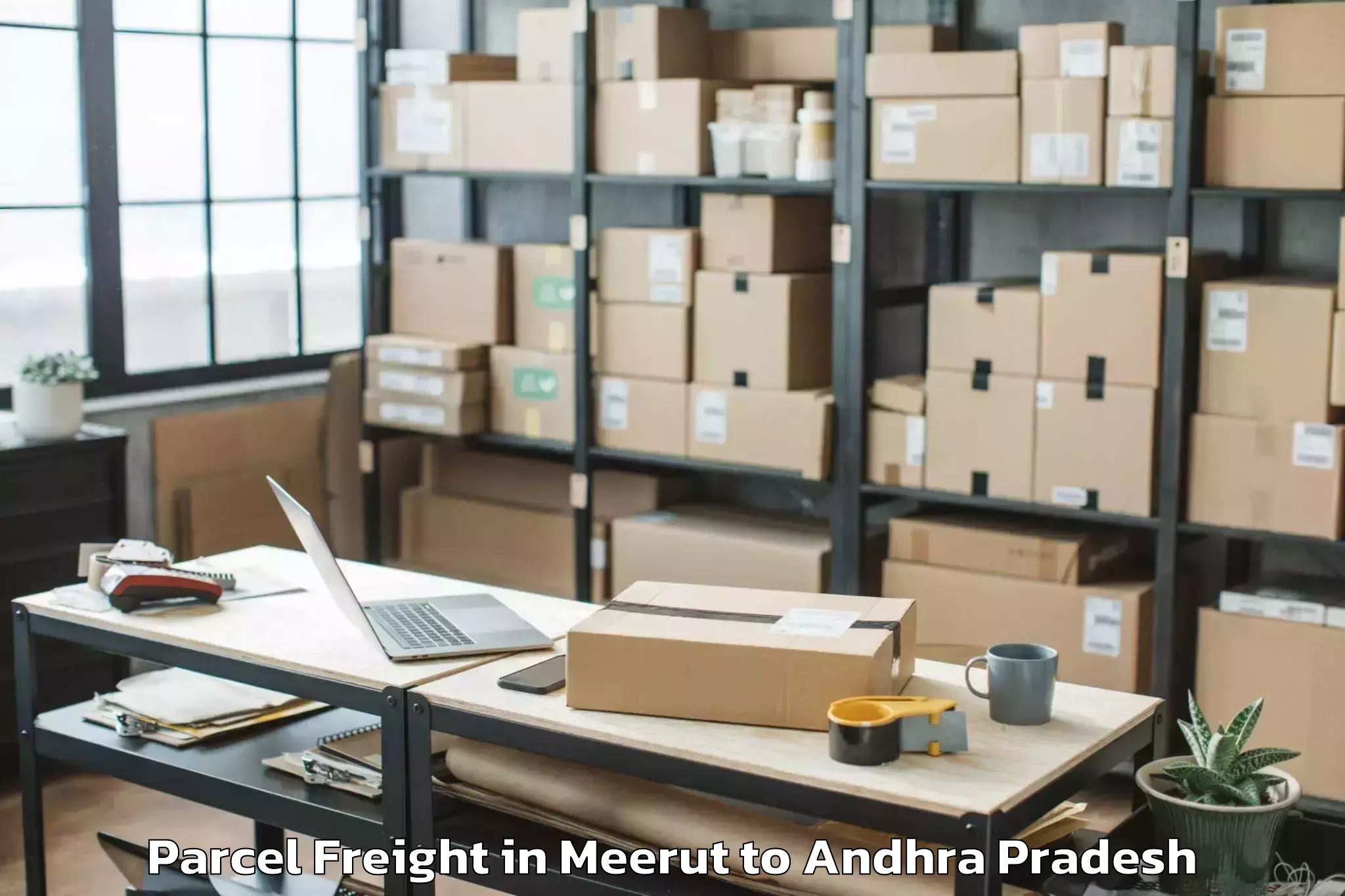 Professional Meerut to Nuzendla Parcel Freight